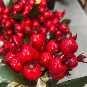 مشاهده محصولات اجناس یلدا