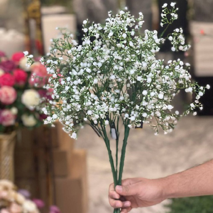 تصویر از شاخه عروس ریزپرگل
