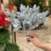 تصویر از بوته کاج برفی